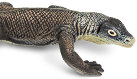 Komodo Dragon  S100263