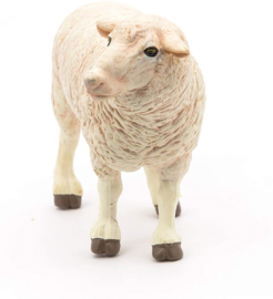 Merino schaap 51041