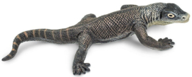 Komodo Dragon  S100263