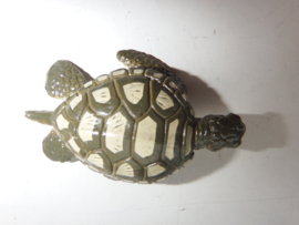 Zeeschildpad   gevlekt  mini