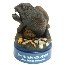 Wolfvis Kaiyodo Enoshima aquarium
