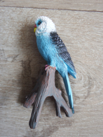 Grasparkiet blauw op tak