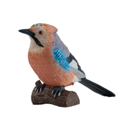 Jay  Mojo 381146