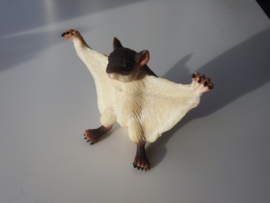 Flying squirrel