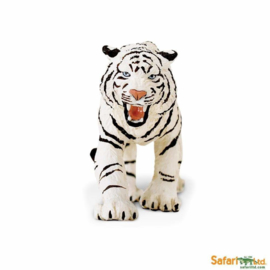Bengal Tiger White S294929