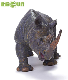 Black Rhinoceros Recur