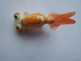 Stargazer small