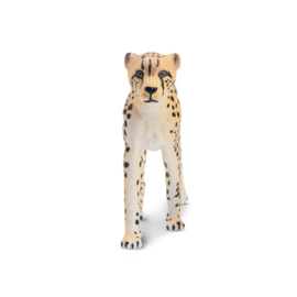 Cheetah female Toymany