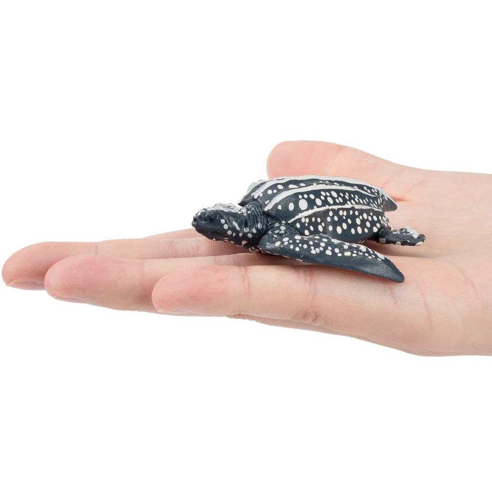 Leatherback Sea Turtle  Toymany