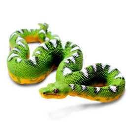 Emerald Treeboa S101084 -