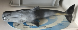 Potvis   Schleich 16084