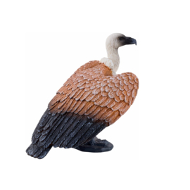 Vale gier  Mojö 381099   juni 2025