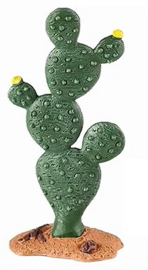Schijfcactus middelgroot
