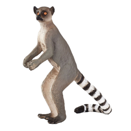 Ringstaartmaki  Mojo 87177