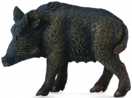 Wild boar CollectA 88364