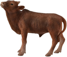 Ankole-Watusi calf  CollectA 88650