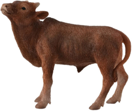 Ankole-Watusi kalf   CollectA 88650