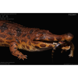 Sarcosuchus imperator “Lica”  River REBOR 161090