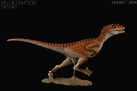 Velociraptor Sweeney Rebor