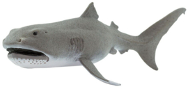 Megamouth shark      Reuzenbekhaai   S201029