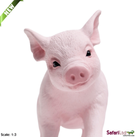 Piglet   S265429