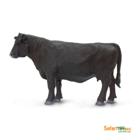 Angus cow S160829