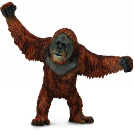 Orangutan  CollectA 88768