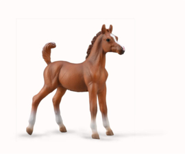 Arabian foal CollectA 88992