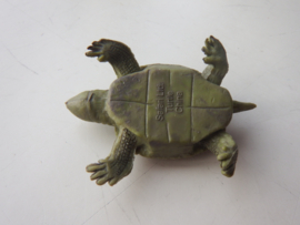 Turtle mini