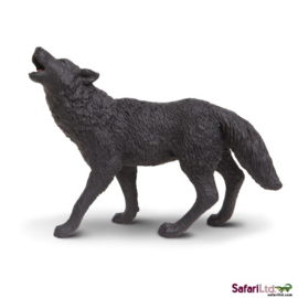 Wolf black  Safari 181129