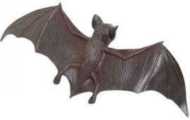 Brown Bat S260629