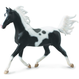 Arab stallion giftbox - CollectA 89462