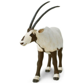Oryx  Safari 284829