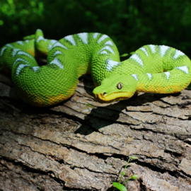 Emerald Treeboa S101084 -