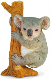 Koala  climbing     CollectA 88356
