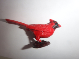 Red cardinal  mini