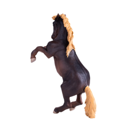 Brumby hengst  Mojo 381060