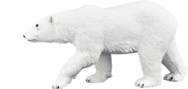 Polar bear  Mojo 387183