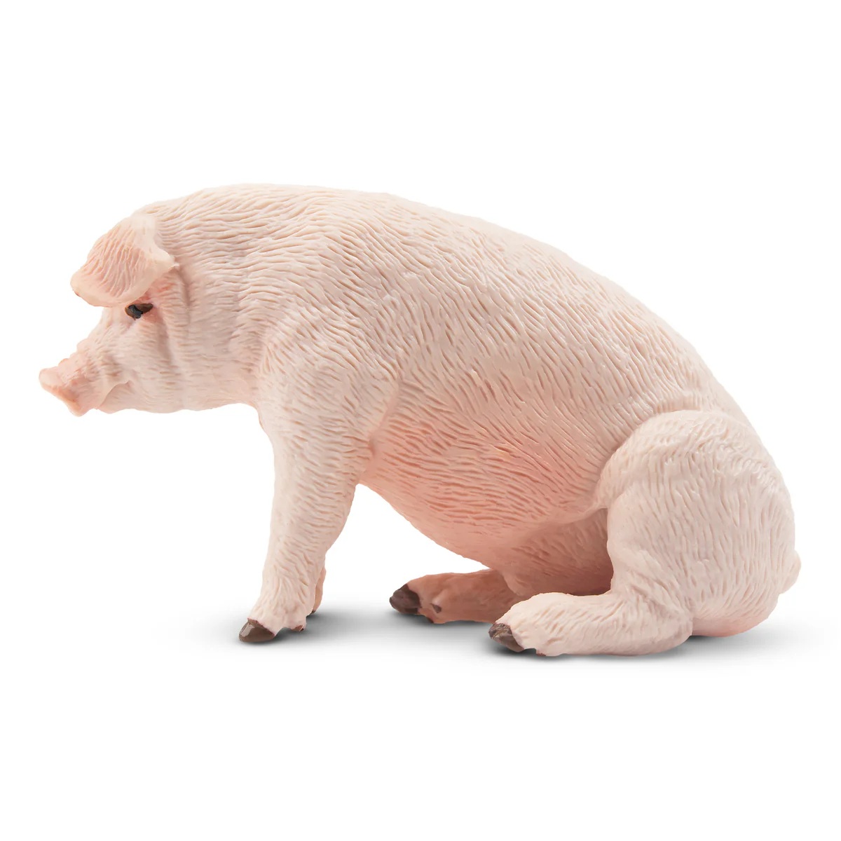 Male Adult Pig   Toymany