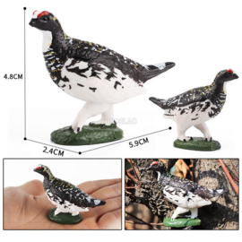 Ptarmigan