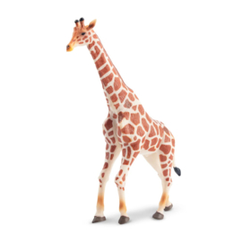 Giraffe male  Toymany