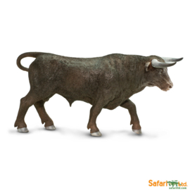 Black  bull   Safari 161629