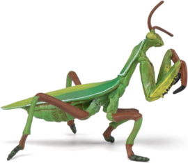 Praying Mantis     Papo 50244