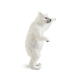 IJsbeer cub Toymany