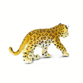 Leopard Cub  S271629