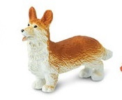 hond Corgi  (mini)