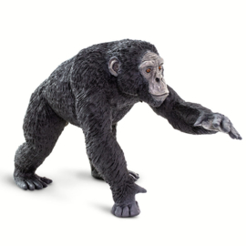 Chimpanzee   XXL   S100302
