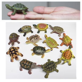 Schildpadjes  set van 12