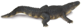 Alligator XXL S113389