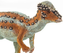 Pachycephalosaurus Safari 100350